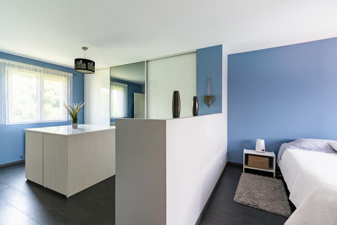 Villa Signoret - Belle maison avec piscine à Toulouse Extérieur photo